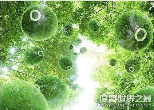 最古老的还活着的生物盘点,现今地球生物界中的10大活化石