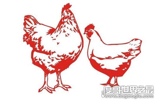 成语牝鸡司晨是什么意思,就是指母鸡报晓(牝鸡司晨的典故)