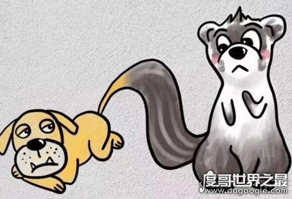 成语牝鸡司晨是什么意思,就是指母鸡报晓(牝鸡司晨的典故)