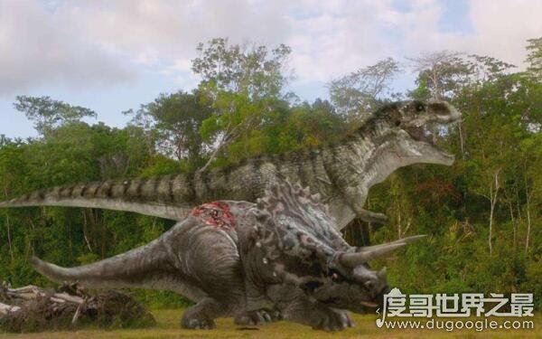 票房最高的电影排行榜，票房最高的电影有哪些（阿凡达居榜首）