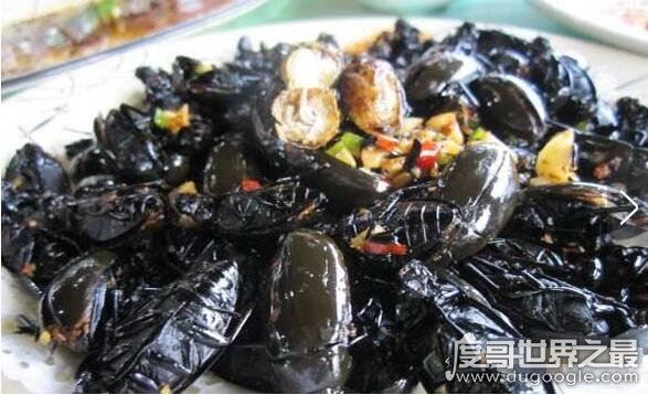 补肾的重口味美食水蟑螂，教你怎么做椒盐龙虱