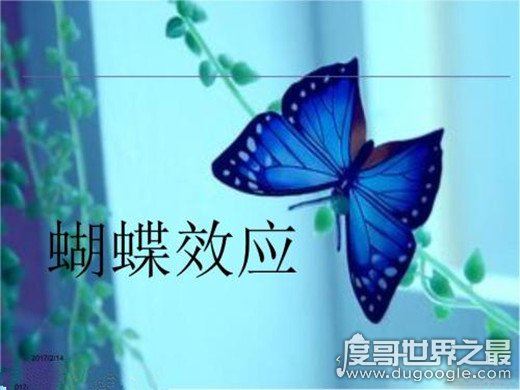 蝴蝶效应是什么意思,小的变化引发连锁反应(可应用于各种学科)