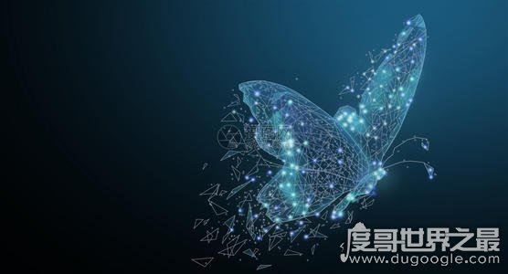 蝴蝶效应是什么意思，小的变化引发连锁反应(可应用于各种学科)