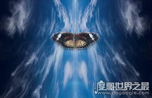 蝴蝶效应是什么意思，小的变化引发连锁反应(可应用于各种学科)