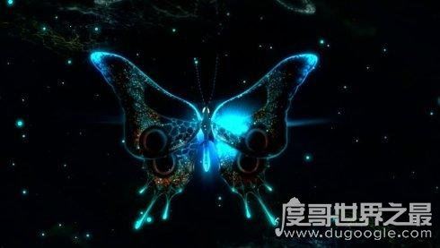 蝴蝶效应是什么意思，小的变化引发连锁反应(可应用于各种学科)