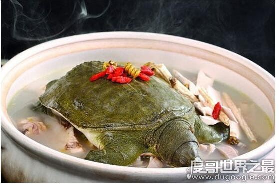 甲鱼怎么杀，第一步砍头最重要(教你怎么处理甲鱼)