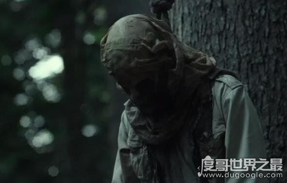 日本自杀森林，青木原树海一年搜出近百具尸体(死法多样化)