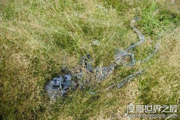 世界上最恐怖的地方 光看看就毛骨悚然了