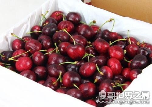 车厘子自由是什么梗？是指收入可轻松购买车厘子(源于网络热文)