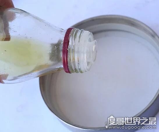 在人脑中繁殖的恐怖生物蠼螋，竟然能够帮忙清除蟑螂