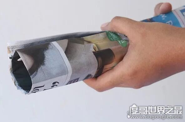 在人脑中繁殖的恐怖生物蠼螋，竟然能够帮忙清除蟑螂