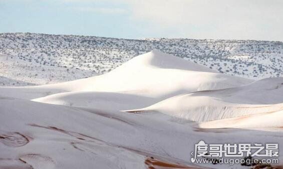撒哈拉沙漠下雪了,世界上最热沙漠下了1米厚大雪