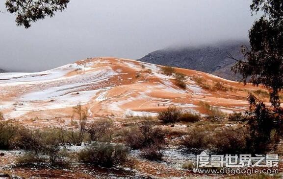 撒哈拉沙漠下雪了,世界上最热沙漠下了1米厚大雪
