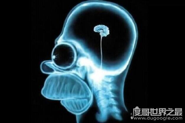 林家宅37号事件,嫌疑人叶先国没有脑组织(震惊中国的灵异事件)