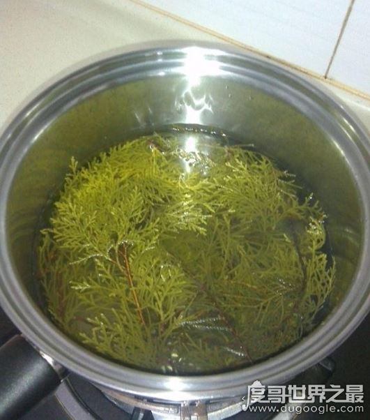 四大最有效的白发变黑发土方，桑叶水洗头简单又实用