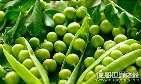 男人养肾最佳10食物，秋葵乃最佳圣品(被誉为＂植物伟哥＂)