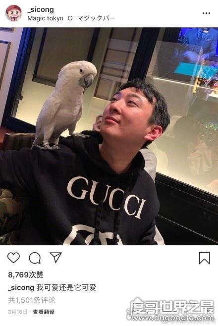 王思聪的鸭子，两只花了3万(有钱人的世界我们不懂)