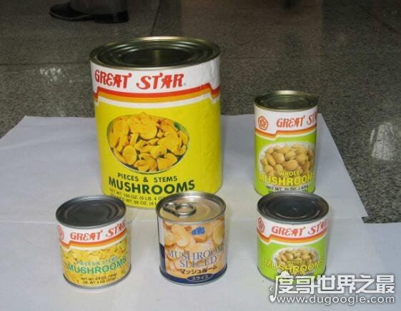 世界十大垃圾食品，看看你吃过哪几样(大部分人全都吃过)