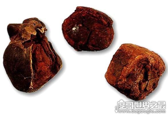 治百病的天价鸡宝是什么东西，病变的卵细胞没有药用价值