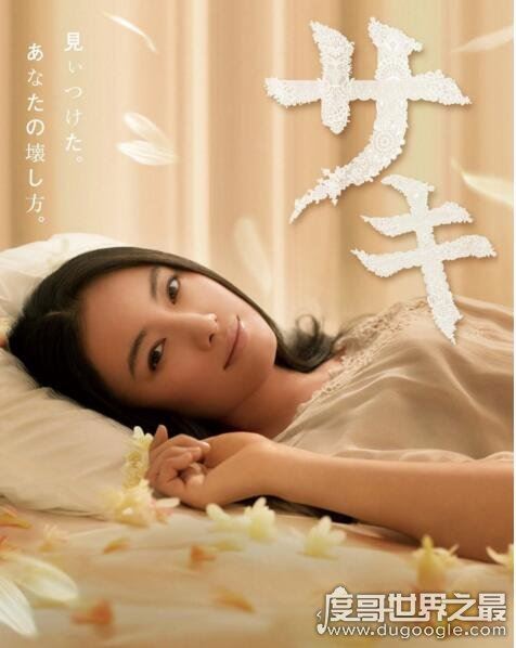 大尺度日剧排行榜，一言不合就开车的重口味日剧