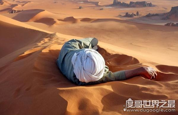 世界上最大的沙漠面积排名，世界十大沙漠名单及介绍