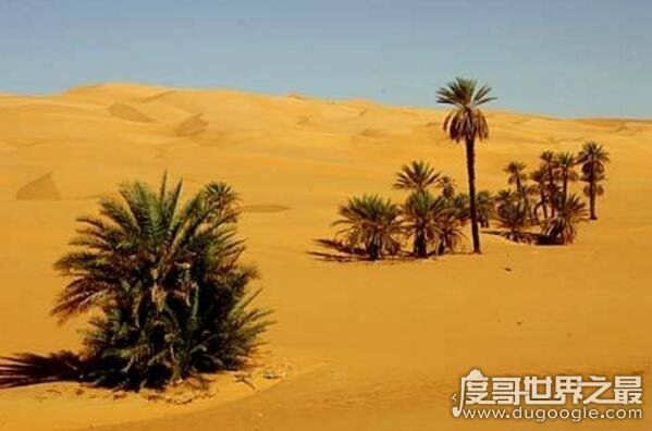 世界上最大的沙漠面积排名,世界十大沙漠名单及介绍