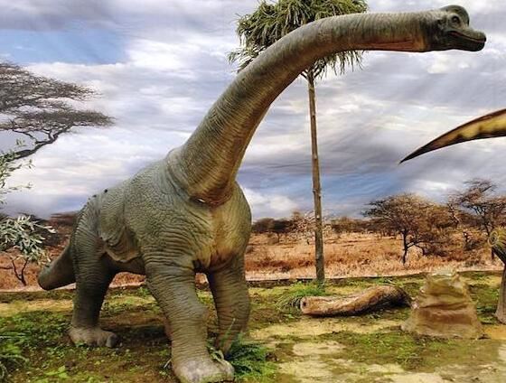 腕龙并非最重的恐龙，被严重高估了的一种长颈巨龙