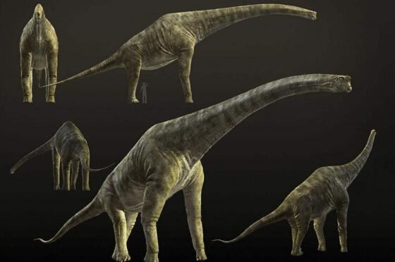 腕龙并非最重的恐龙，被严重高估了的一种长颈巨龙