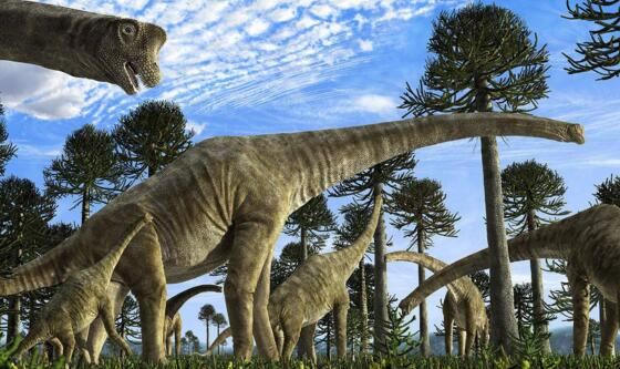 腕龙并非最重的恐龙，被严重高估了的一种长颈巨龙