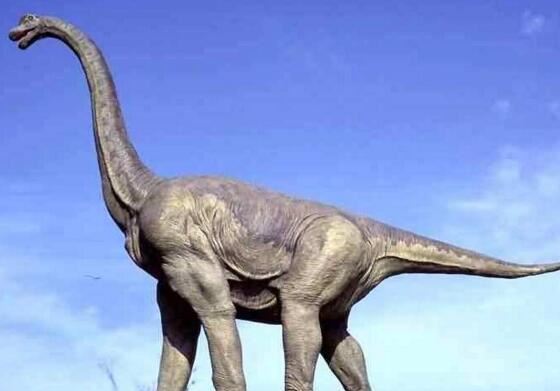 腕龙并非最重的恐龙，被严重高估了的一种长颈巨龙