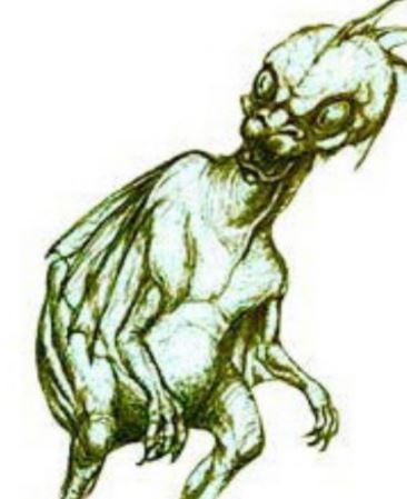 世界十大未知生物，神秘的未知世界（猎奇）