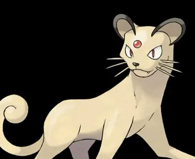 世界十大未知生物，神秘的未知世界（猎奇）