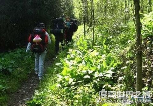 瓦屋山迷魂凼真相，进入后罗盘失灵/方向迷失(至今未解)