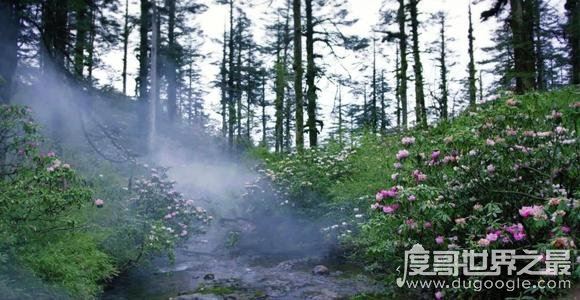 瓦屋山迷魂凼真相，进入后罗盘失灵/方向迷失(至今未解)