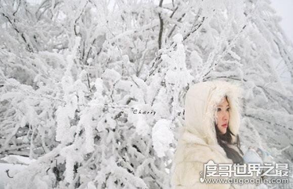 2030年将迎来千年极寒,地球将面临新时代冰河世纪(纯属扯淡)