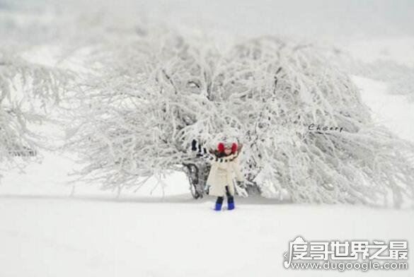 2030年将迎来千年极寒，地球将面临新时代冰河世纪(纯属扯淡)