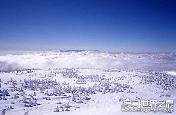 2030年将迎来千年极寒，地球将面临新时代冰河世纪(纯属扯淡)