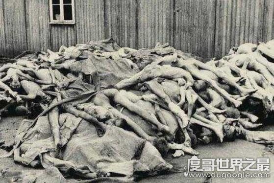 马路大是日本731部队的试验者，被各种生化武器折磨至死