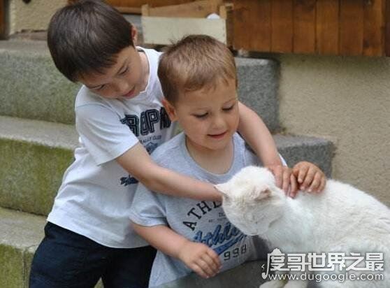 发小是什么意思，就是从小一起玩到大的朋友(父辈互相认识)