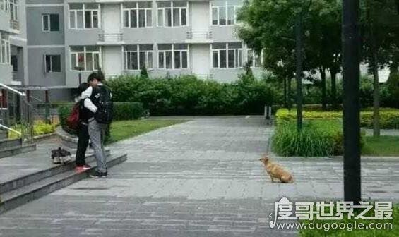 虐死人的单身狗图片精选,一万点暴击在向你袭来(图片)