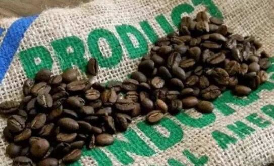 十大世界上最贵的咖啡排名，象屎咖啡最贵(550美元/磅)