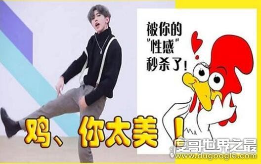 鸡你太美是什么梗?竟出至于蔡徐坤之手(遭全网嘲讽)