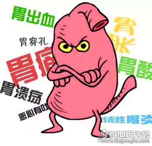 胃在哪个位置图,缓解胃疼最佳的三种方法(附胃相关知识)