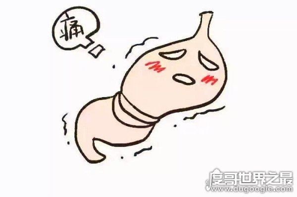 胃在哪个位置图,缓解胃疼最佳的三种方法(附胃相关知识)
