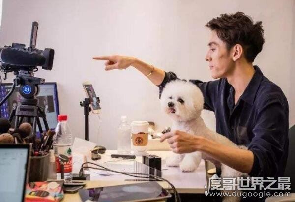 超级彩妆网红,李佳琦是哪里人(美妆师榜样)