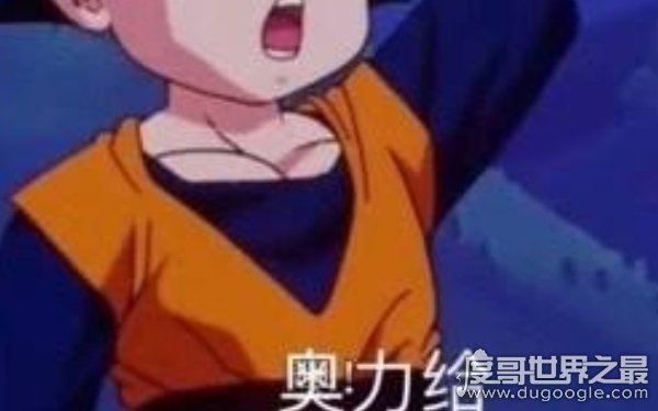 奥利给火遍全网，网络上奥利给是什么意思（给力奥）