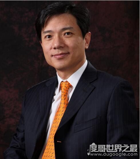 中国首富排行榜2017,恒大许家印登顶(王健林首次跌出前三)