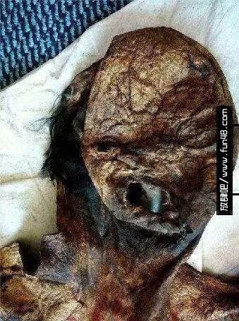 人皮唐卡！图揭西藏地区的残忍物品！慎入...