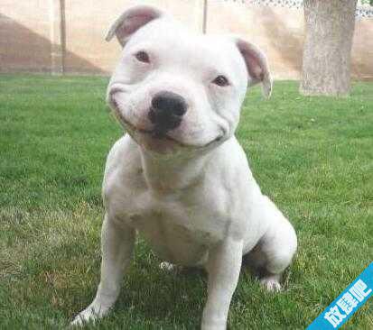 你懂的是什么意思？你懂得什么意思？网络词你懂得！