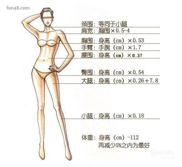女生标准身材的黄金比例